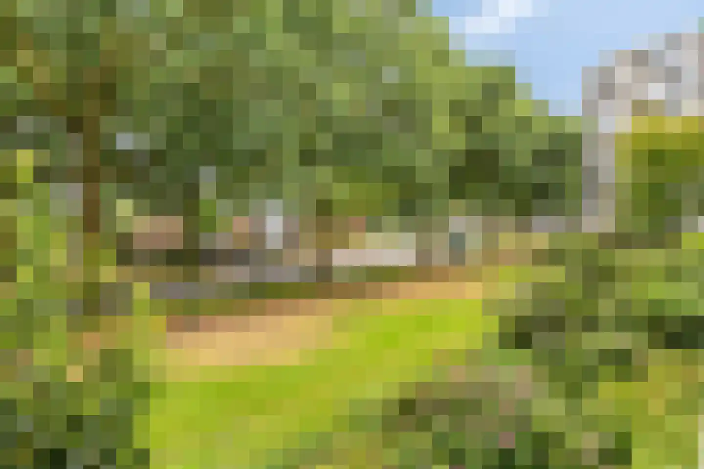 Pollux 95 Veenendaal thumbnail 15