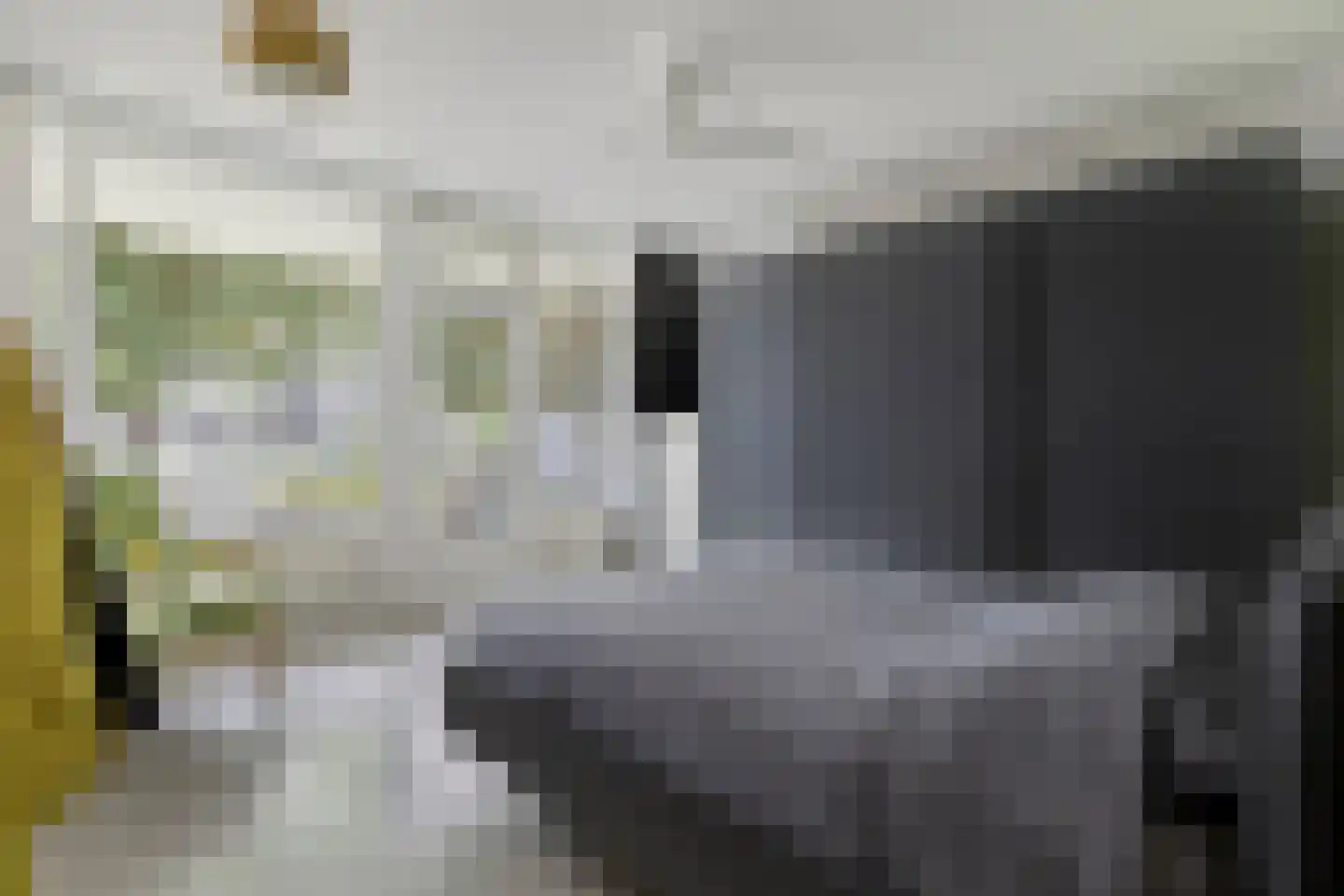 Pollux 95 Veenendaal thumbnail 17
