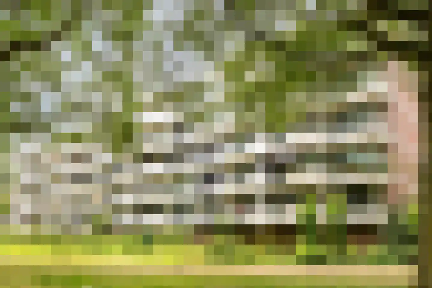 Pollux 95 Veenendaal thumbnail 26