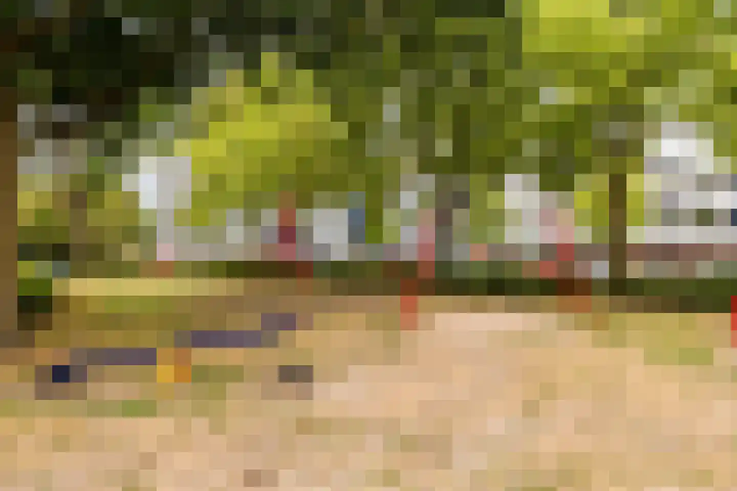 Pollux 95 Veenendaal thumbnail 27