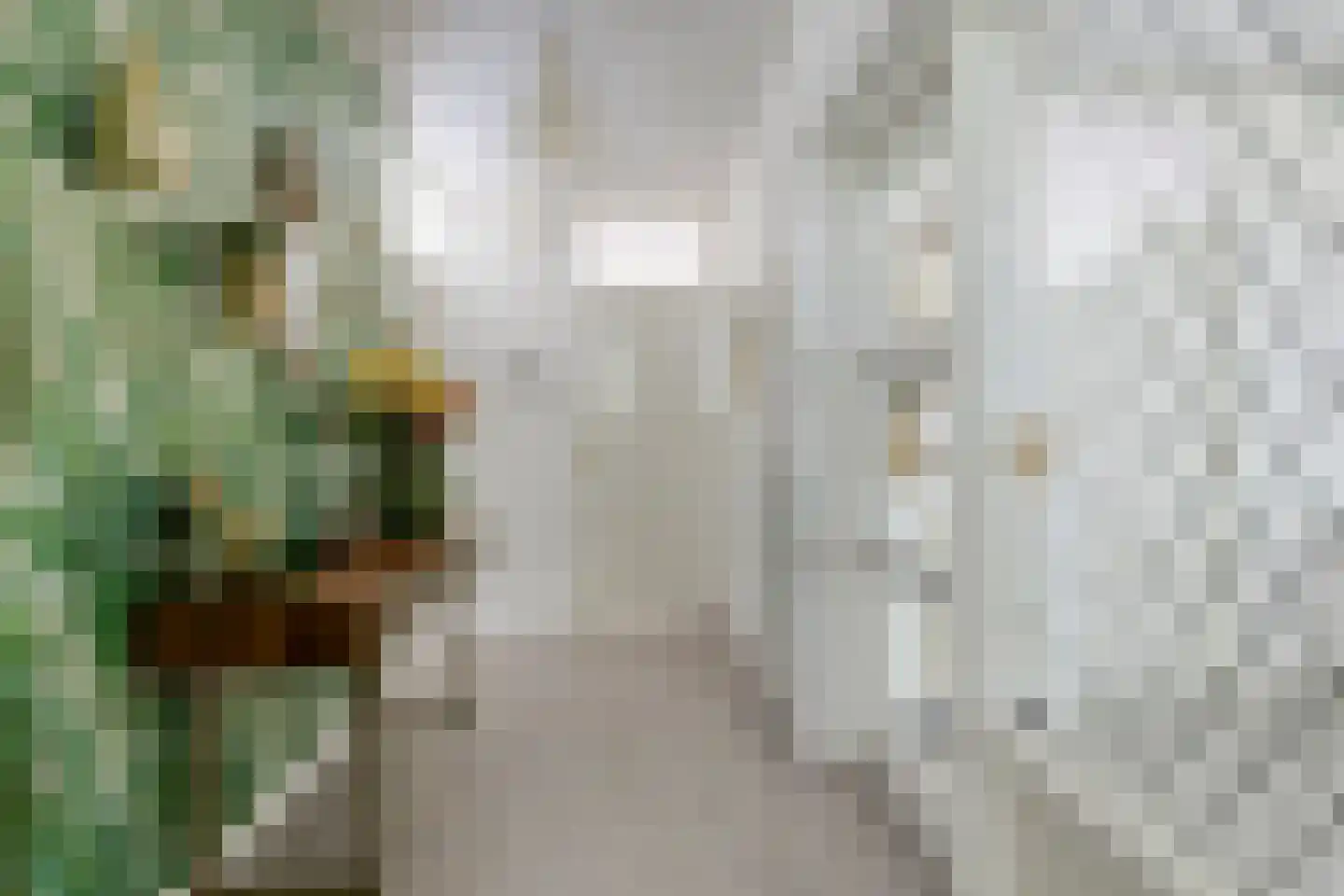 Pollux 95 Veenendaal thumbnail 8