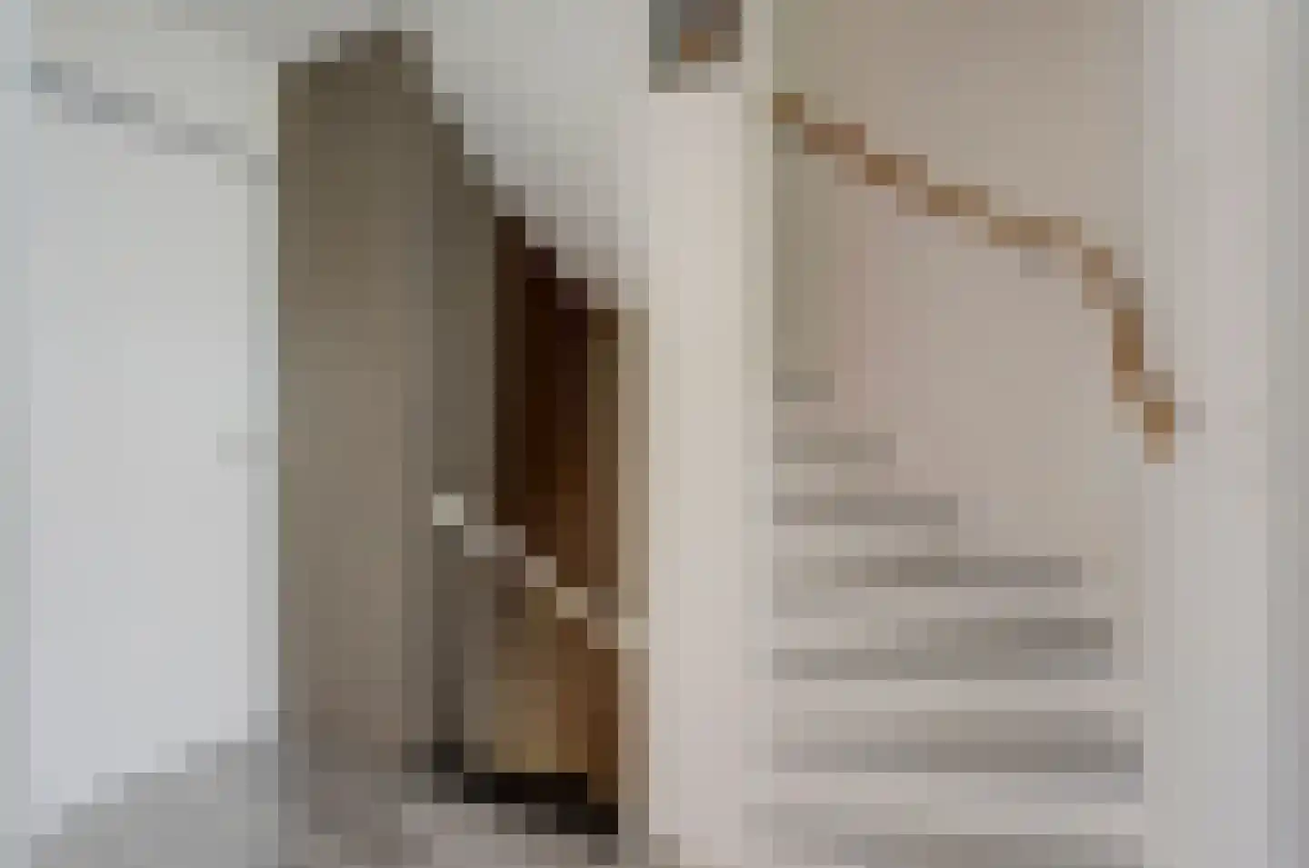 Polluxhof 20 Dordrecht thumbnail 20