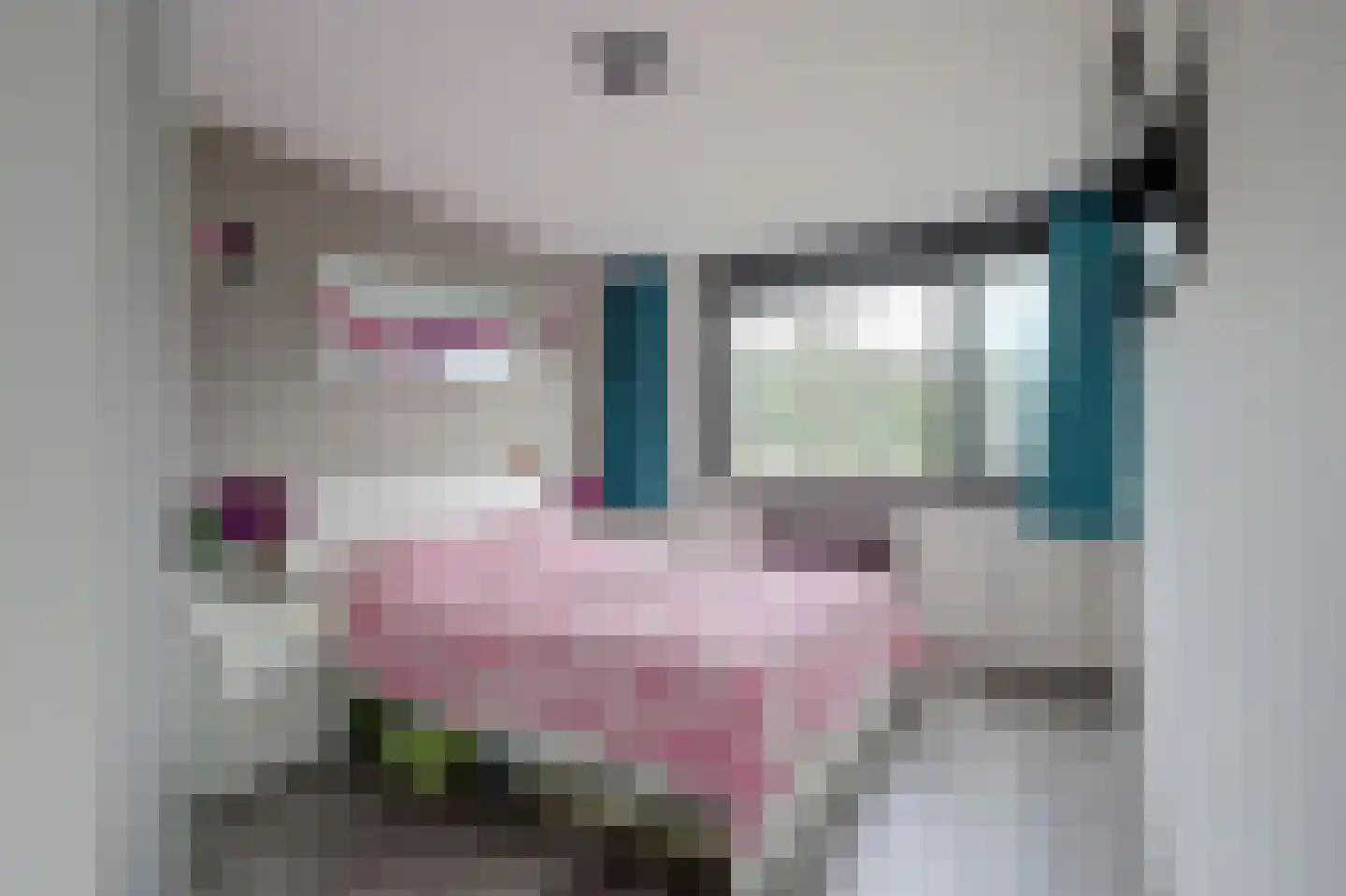 Polluxhof 20 Dordrecht thumbnail 21