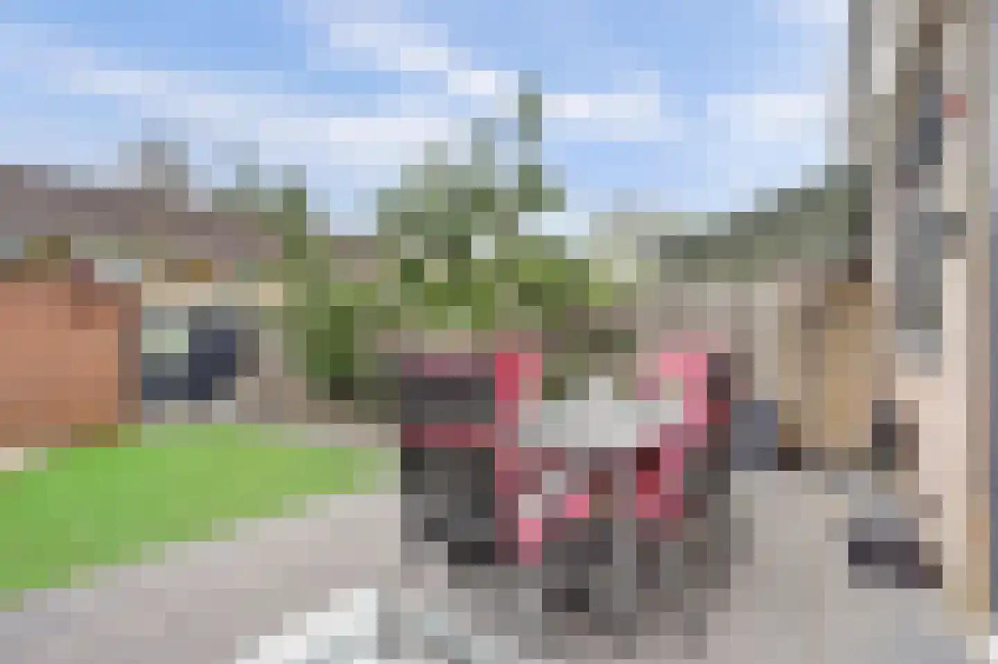 Polluxhof 20 Dordrecht thumbnail 34