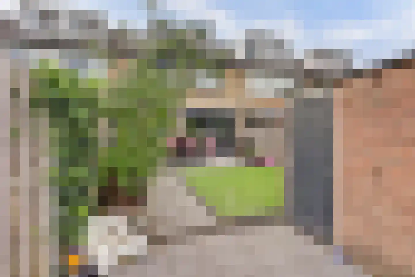 Polluxhof 20 Dordrecht thumbnail 37