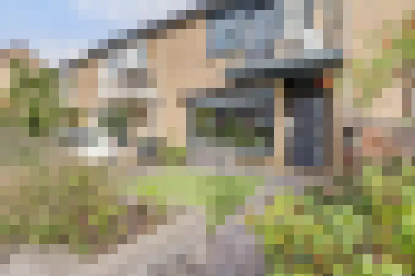 Polluxhof 20 Dordrecht thumbnail 9