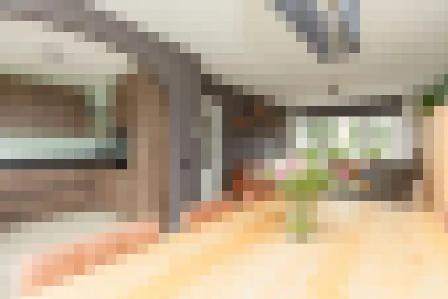 Polluxhof 30 Dordrecht thumbnail 16