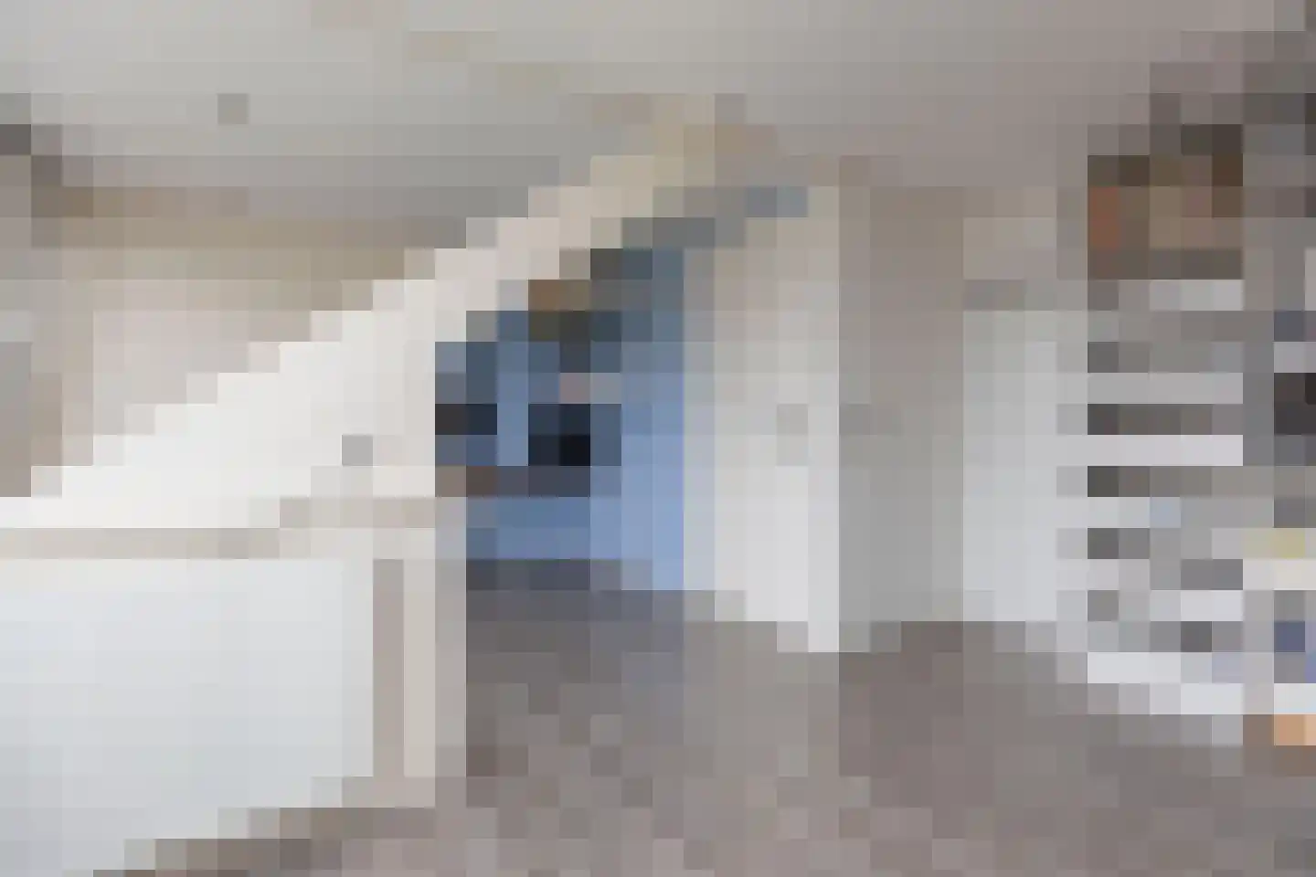 Polluxhof 30 Dordrecht thumbnail 37