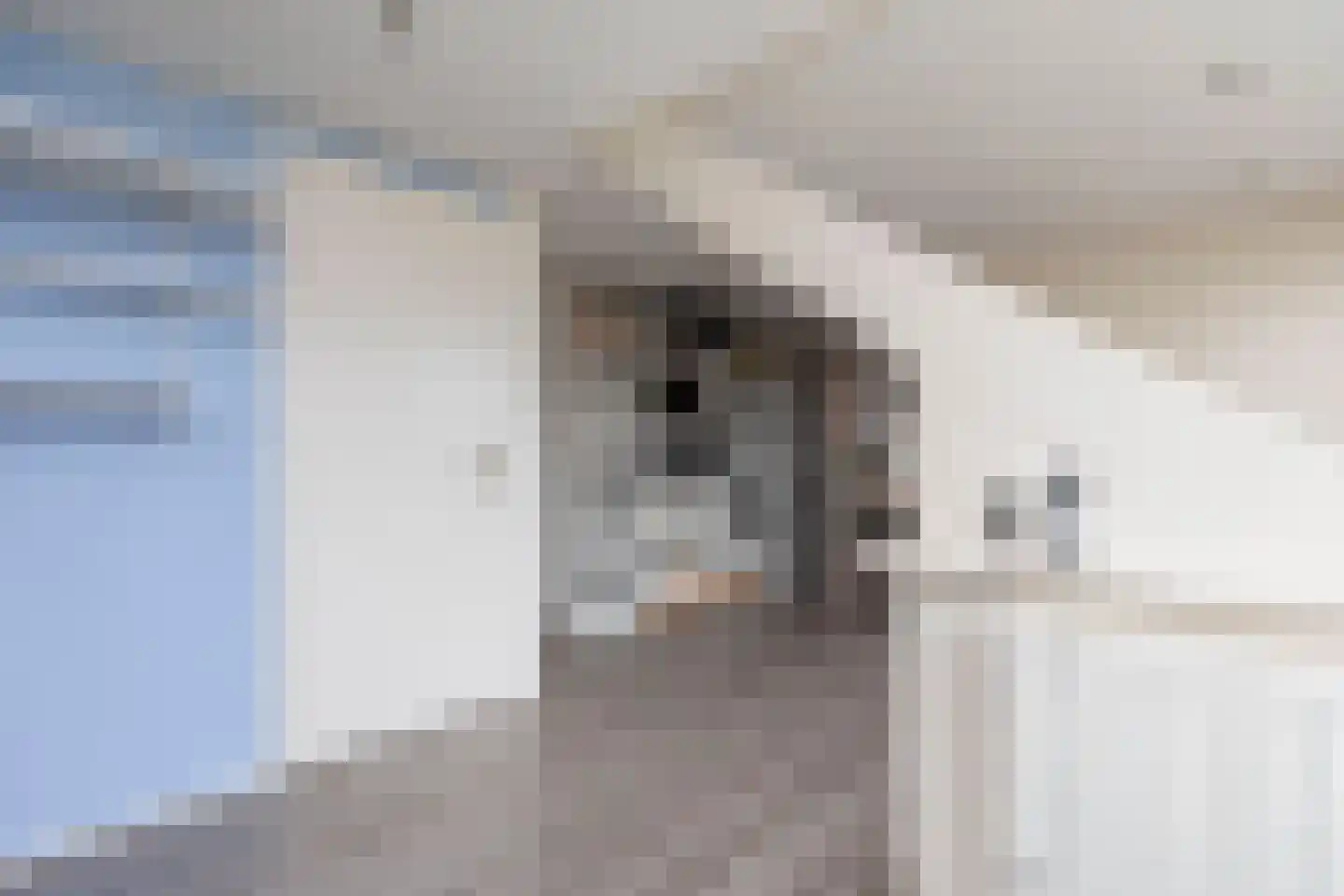 Polluxhof 30 Dordrecht thumbnail 41