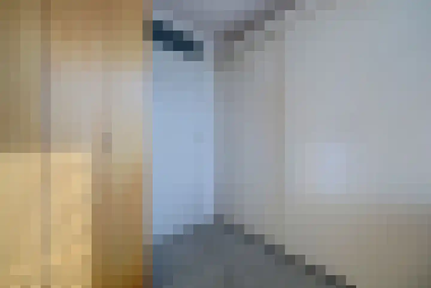 Polluxstraat 12 Spijkenisse thumbnail 21