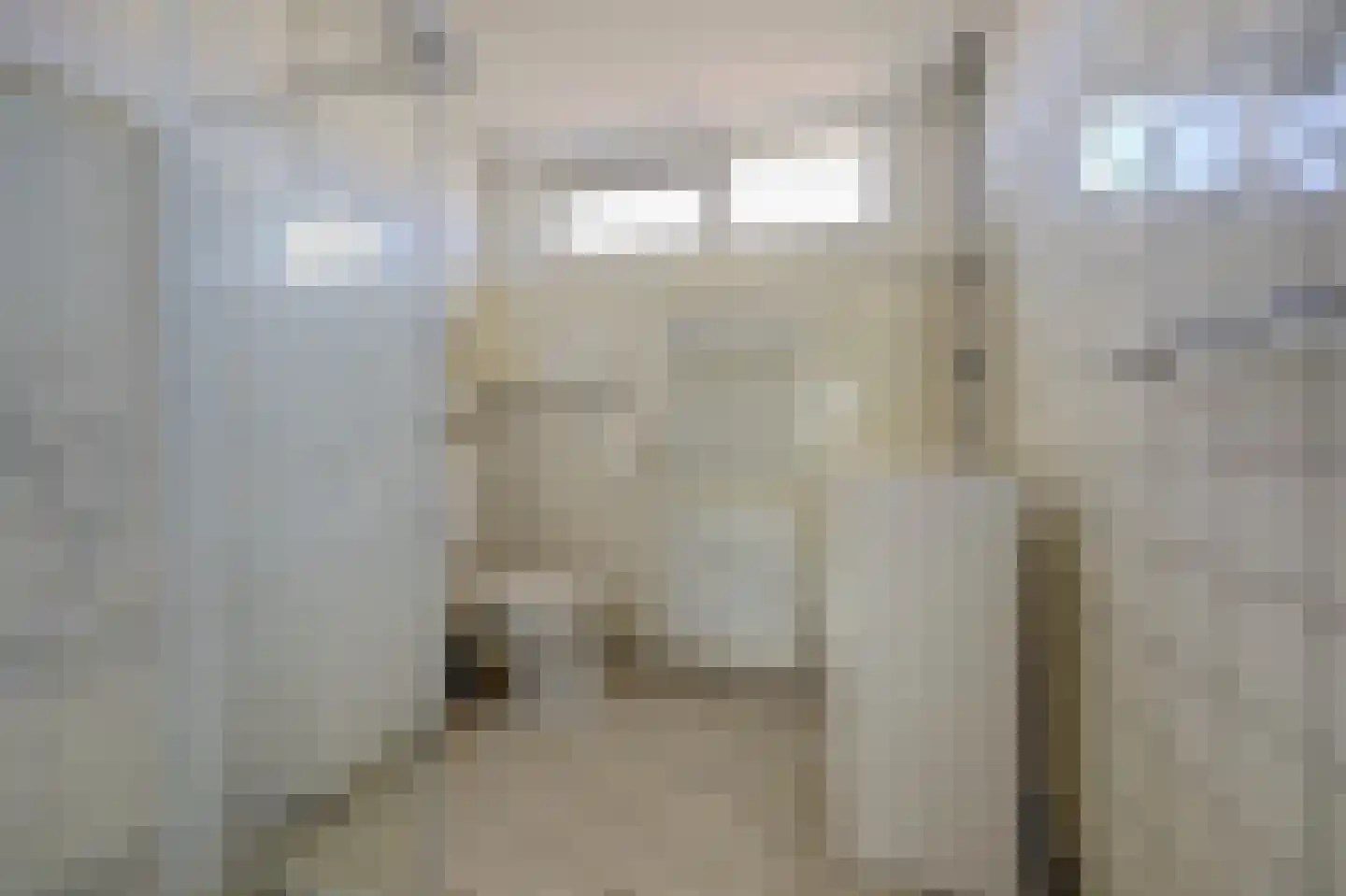 Polluxstraat 12 Spijkenisse thumbnail 22