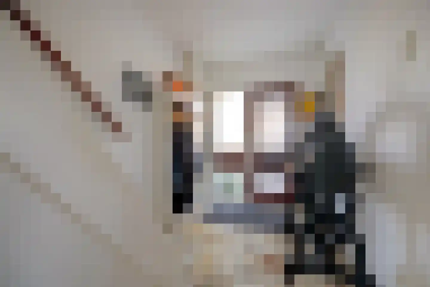 Polluxstraat 12 Spijkenisse thumbnail 5