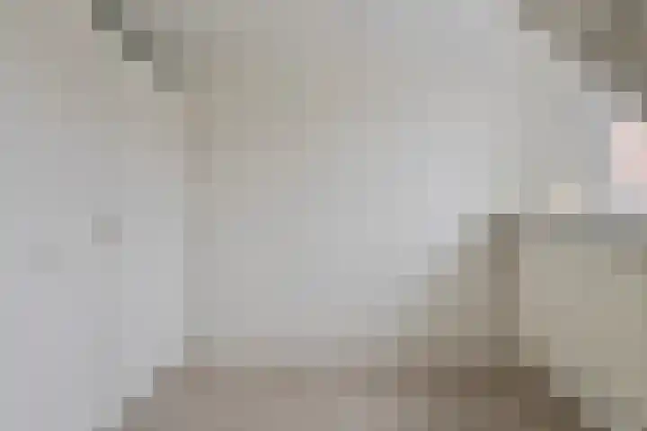 Polluxstraat 13 Roermond thumbnail 28