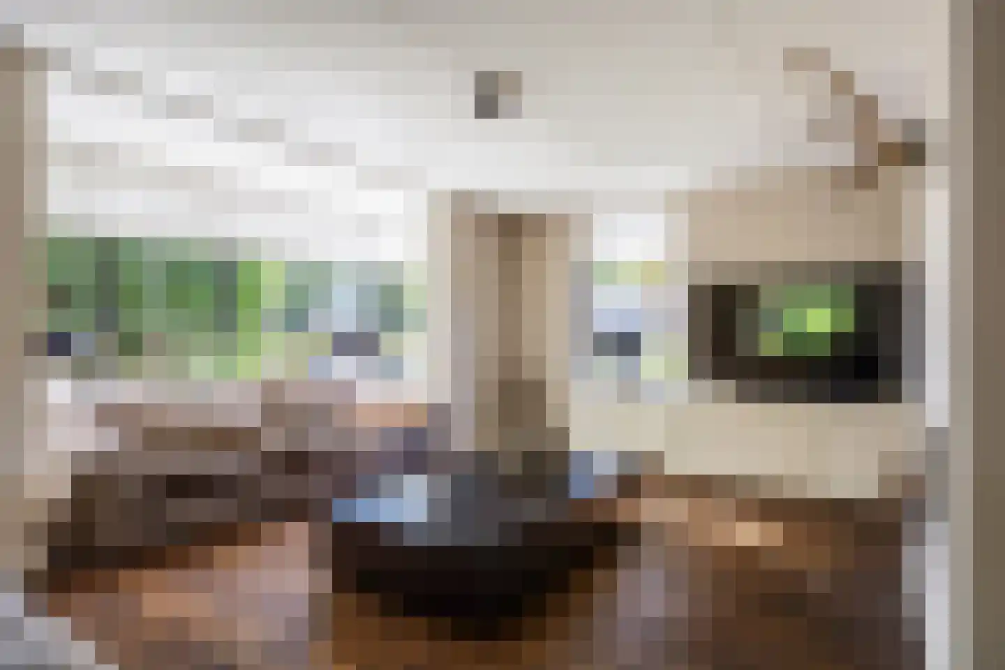 Polluxstraat 15 Zuidhorn thumbnail 13