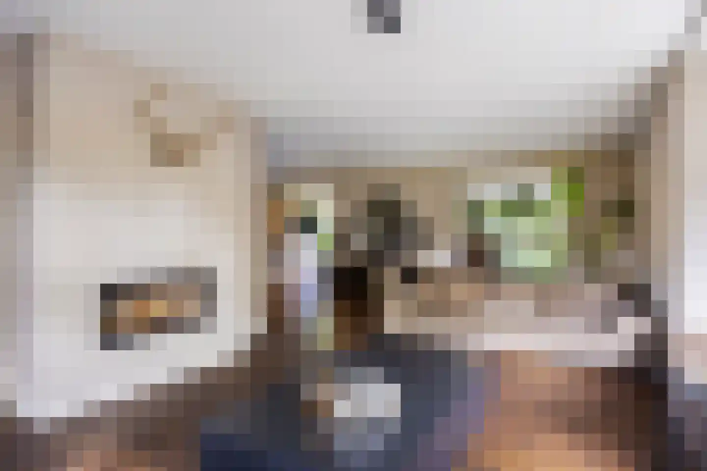 Polluxstraat 15 Zuidhorn thumbnail 15