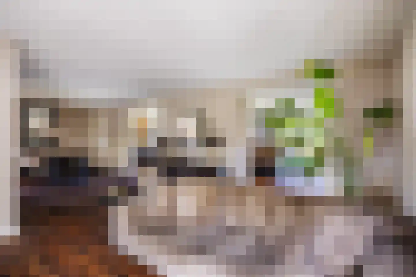 Polluxstraat 15 Zuidhorn thumbnail 17