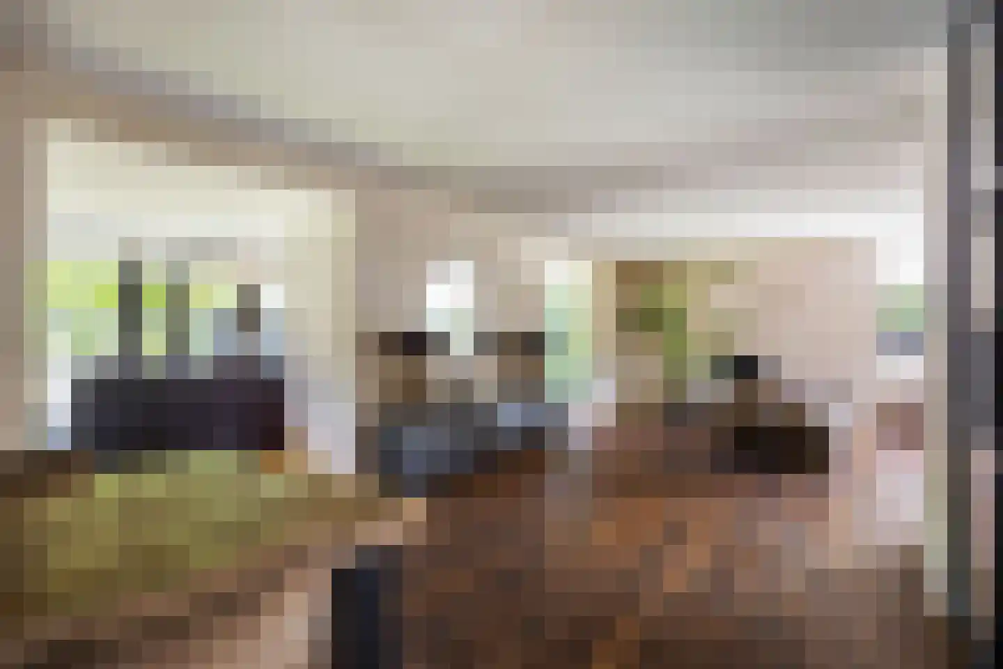 Polluxstraat 15 Zuidhorn thumbnail 22