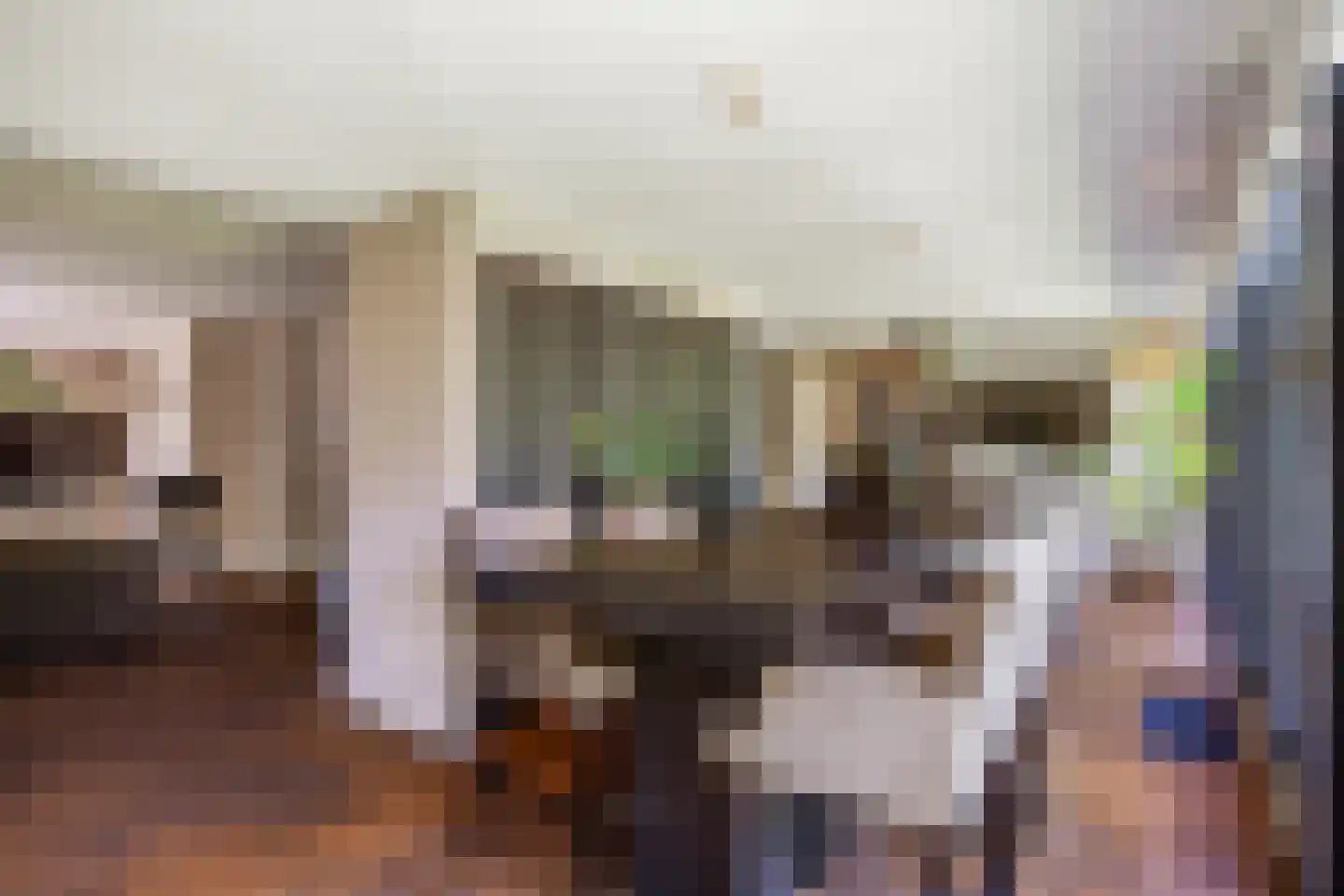 Polluxstraat 15 Zuidhorn thumbnail 27