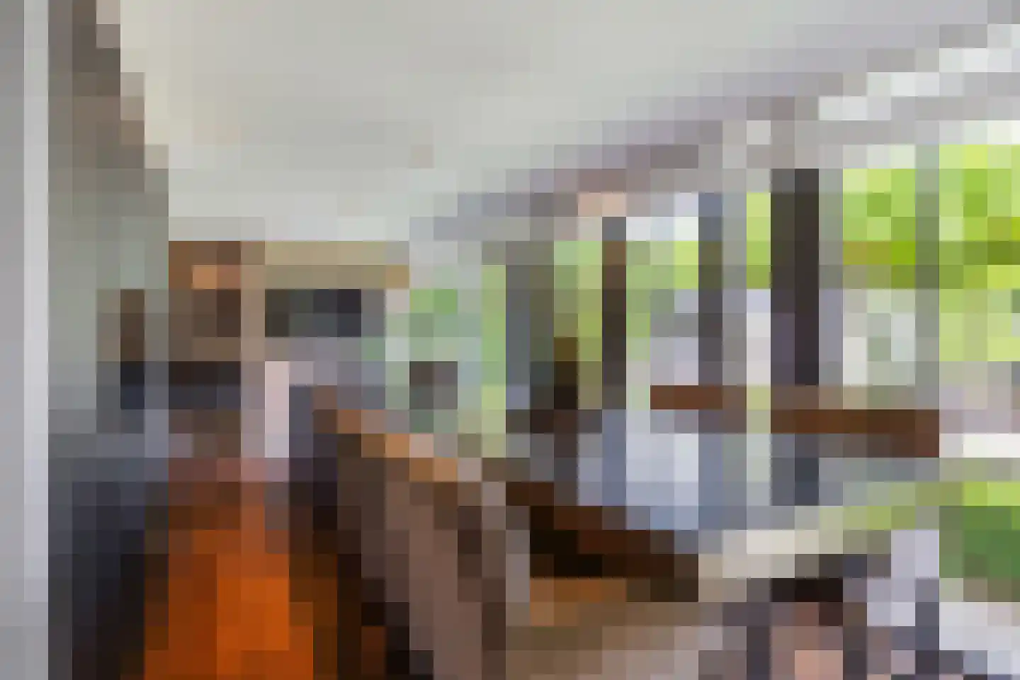 Polluxstraat 15 Zuidhorn thumbnail 28