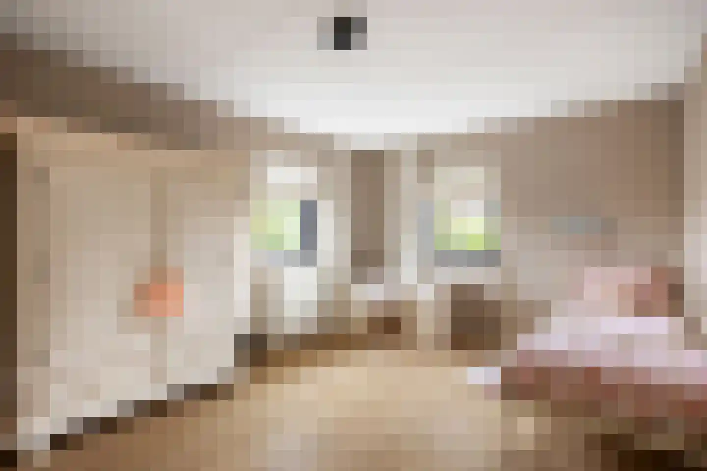 Polluxstraat 15 Zuidhorn thumbnail 34