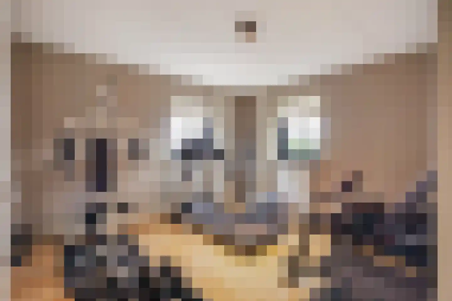 Polluxstraat 15 Zuidhorn thumbnail 35