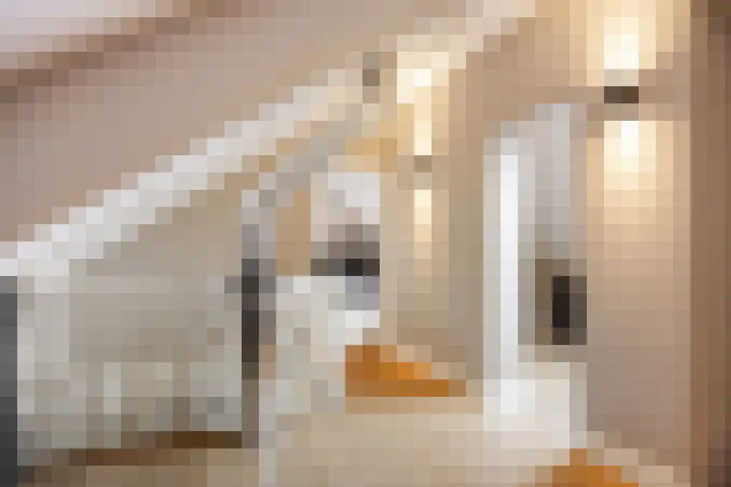 Polluxstraat 15 Zuidhorn thumbnail 39