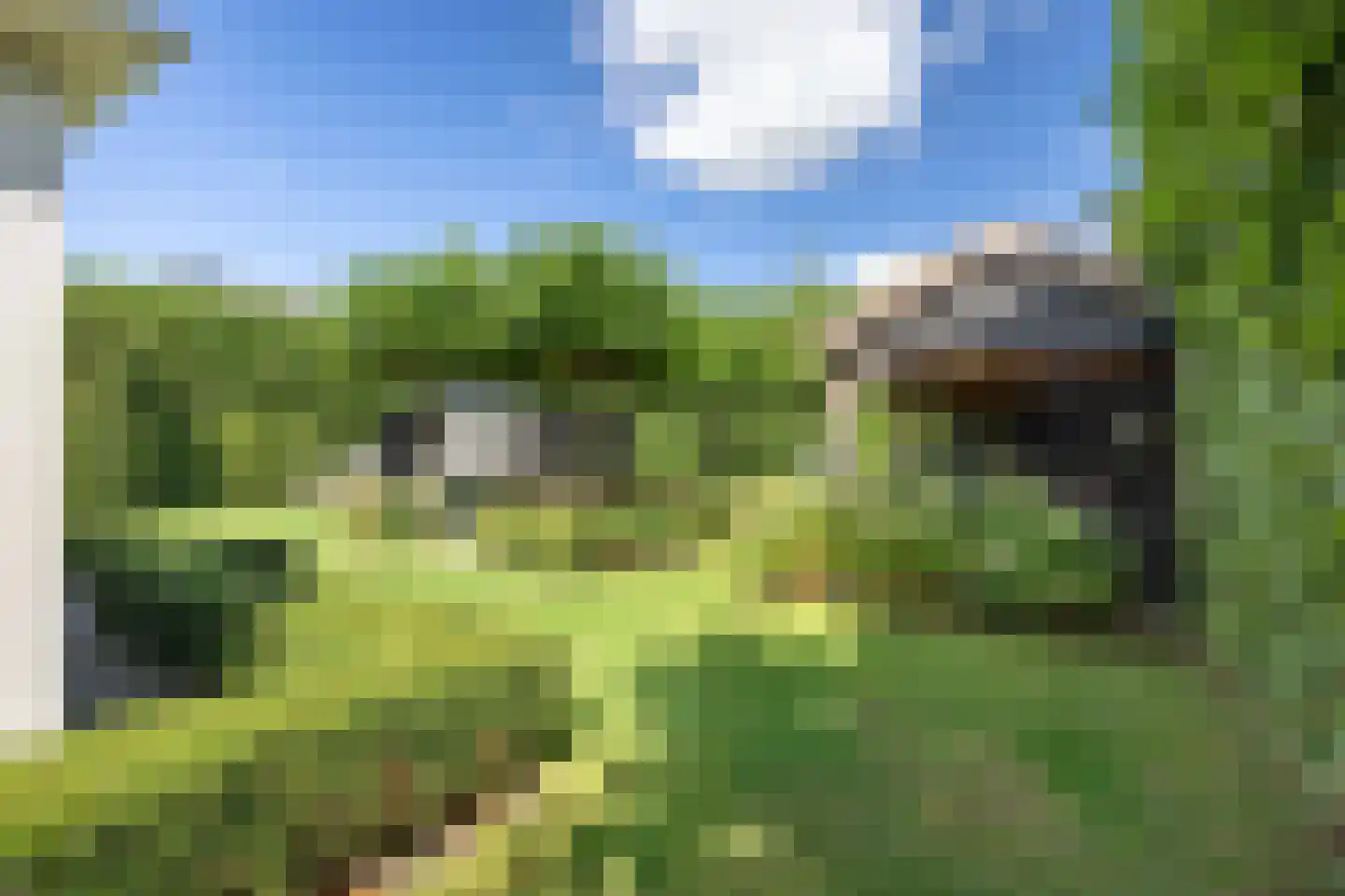 Polluxstraat 15 Zuidhorn thumbnail 4
