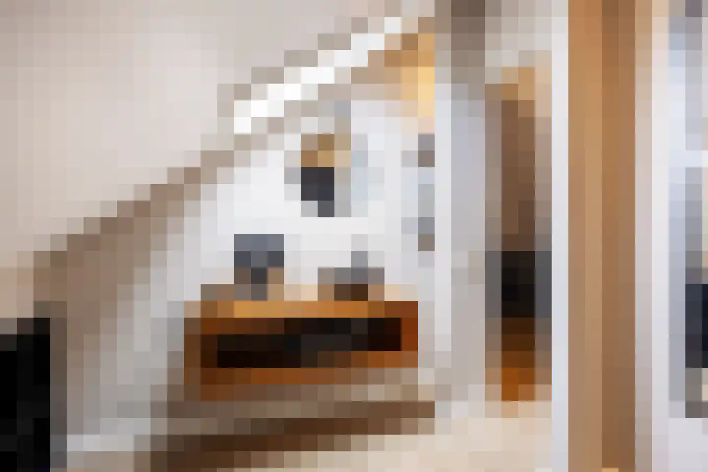 Polluxstraat 15 Zuidhorn thumbnail 40