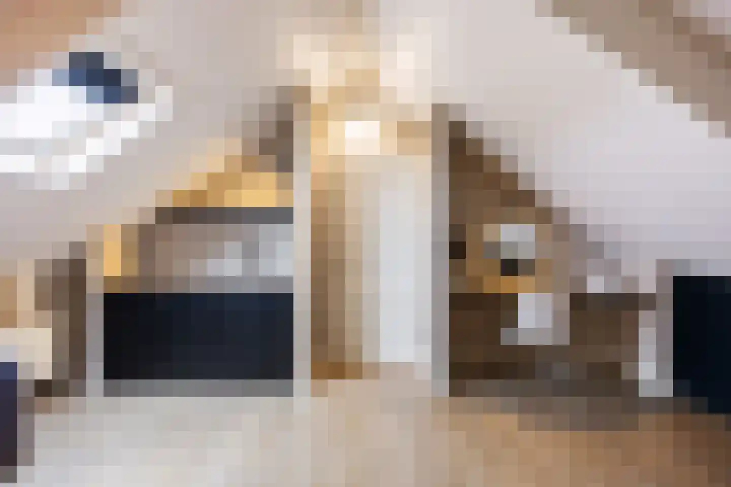 Polluxstraat 15 Zuidhorn thumbnail 44