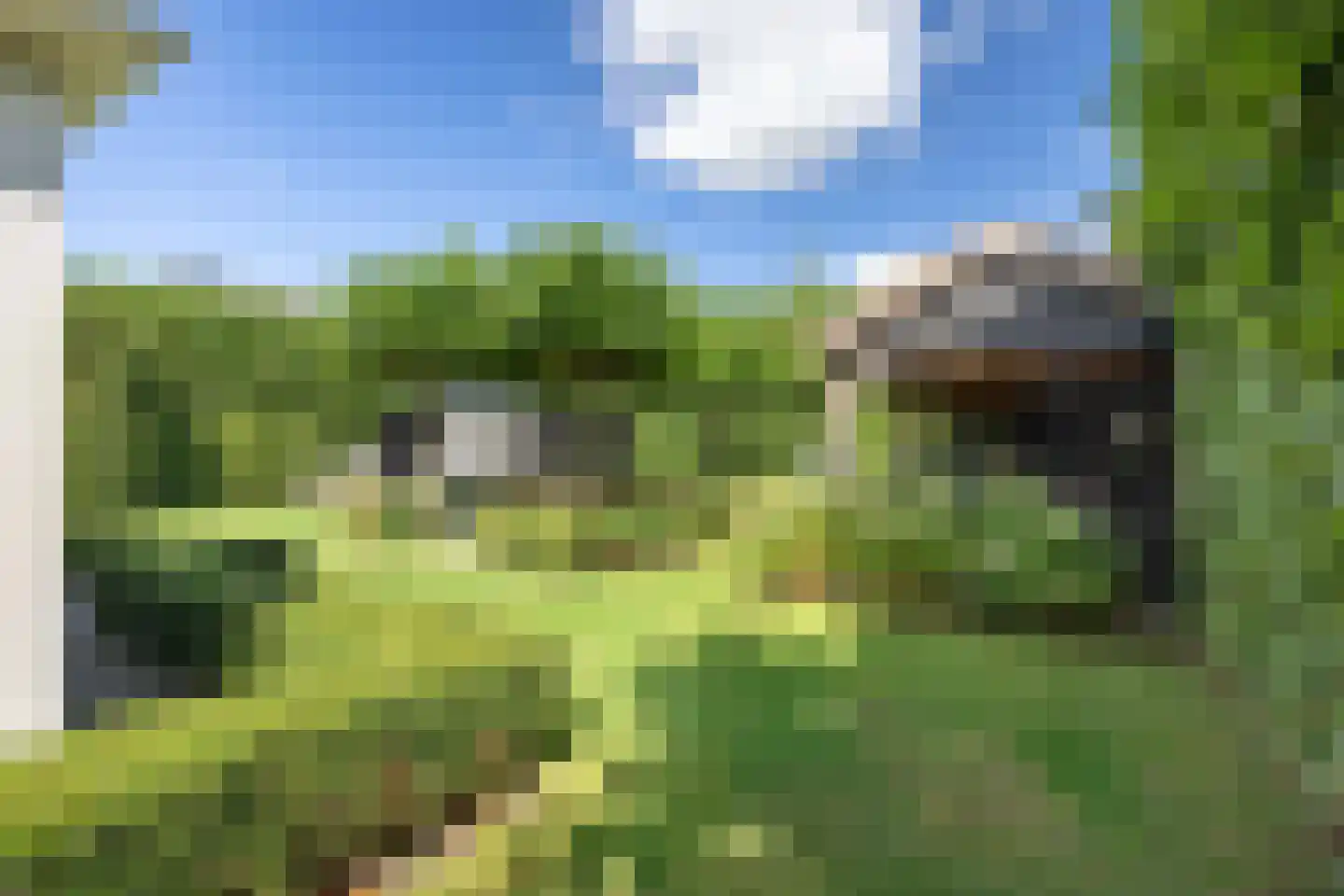 Polluxstraat 15 Zuidhorn thumbnail 46