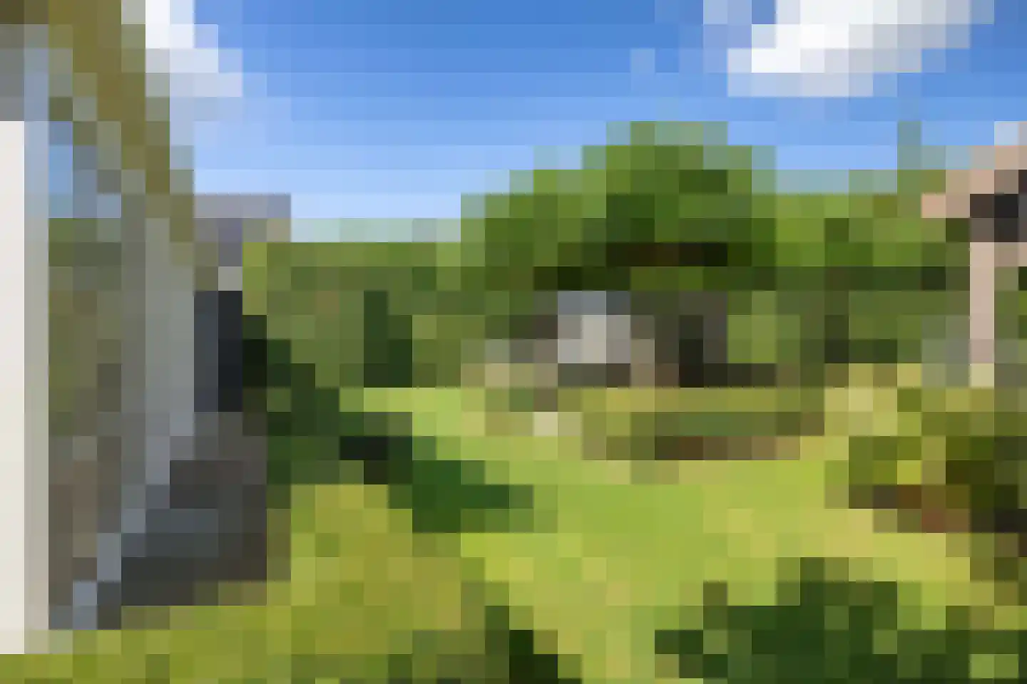 Polluxstraat 15 Zuidhorn thumbnail 47