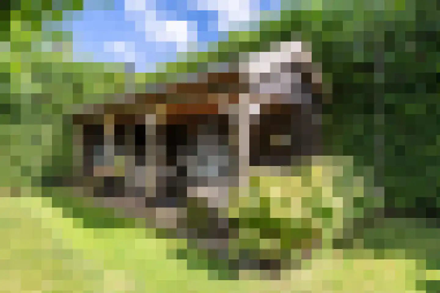 Polluxstraat 15 Zuidhorn thumbnail 54