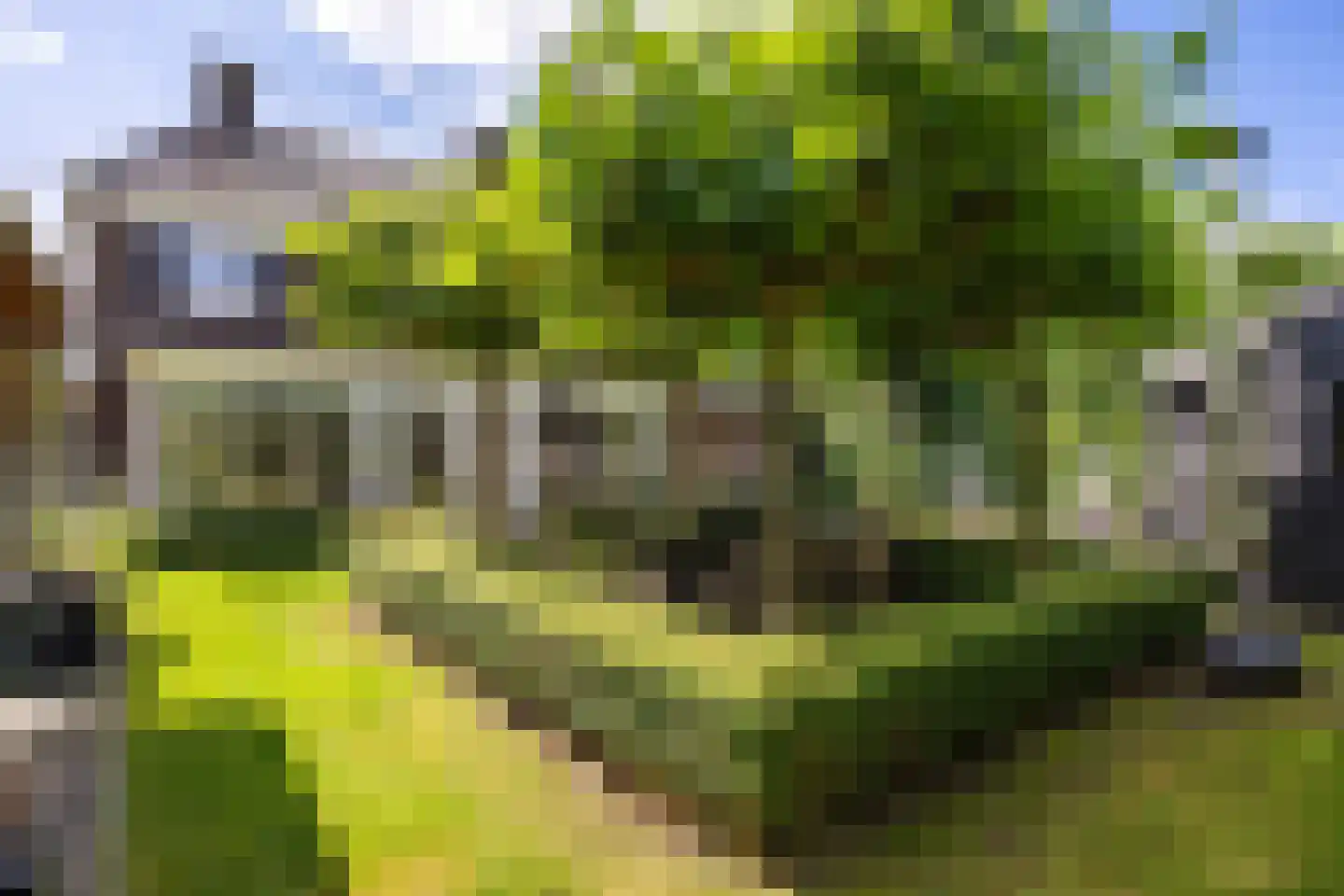 Polluxstraat 15 Zuidhorn thumbnail 57