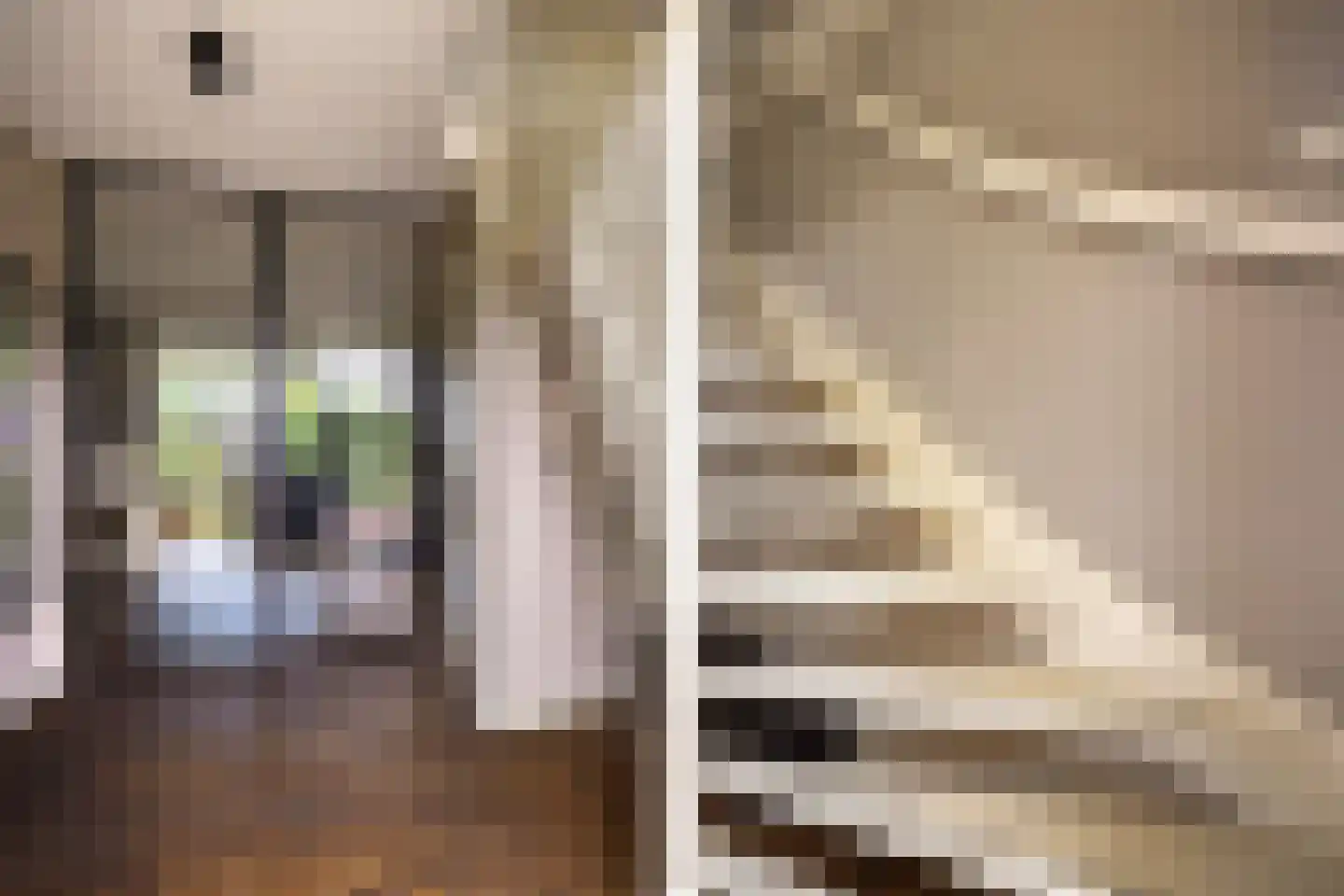 Polluxstraat 15 Zuidhorn thumbnail 9
