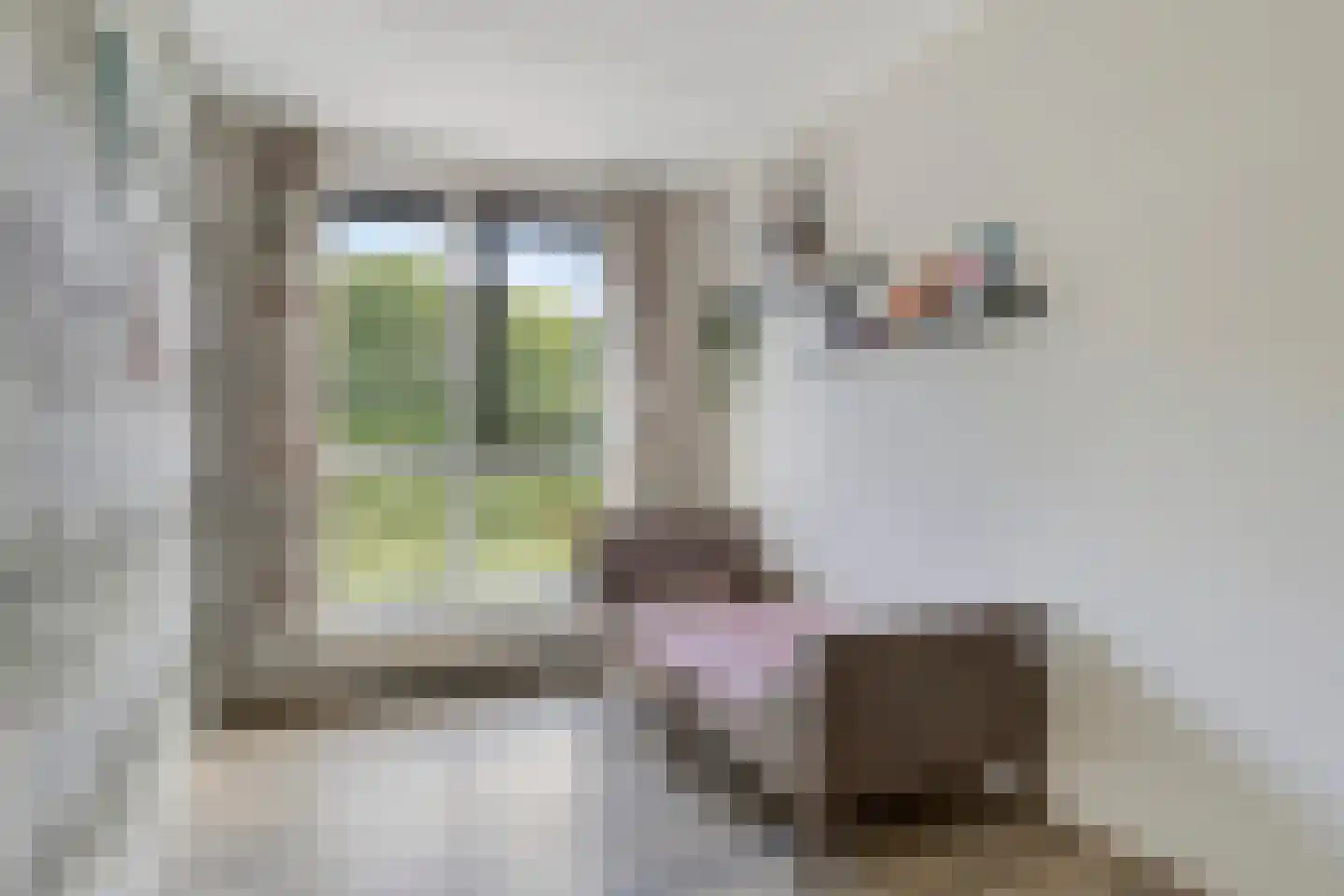 Polluxstraat 172 Arnhem thumbnail 22