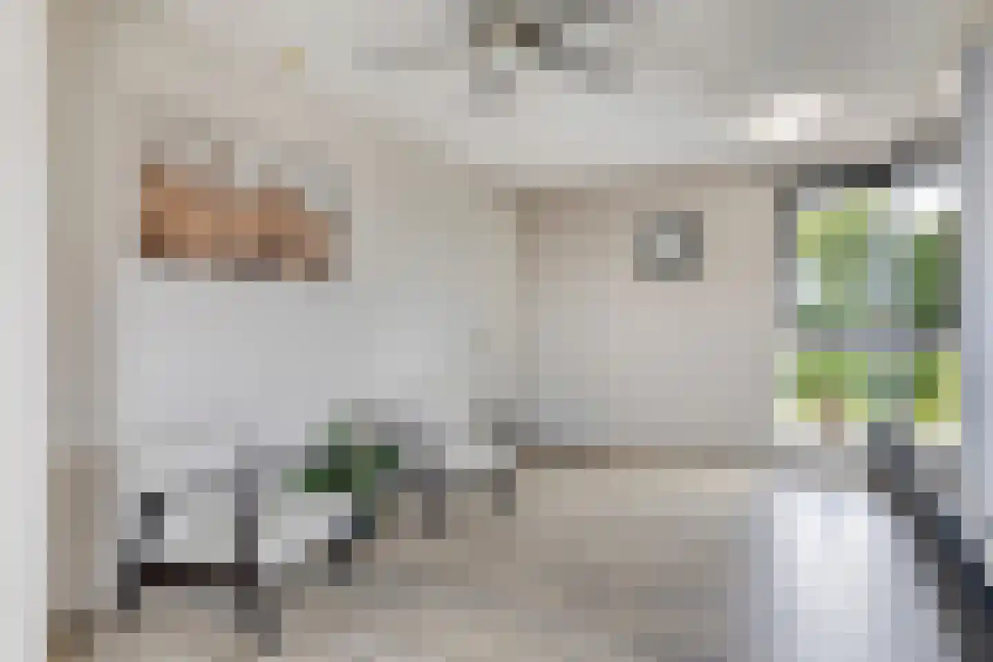 Polluxstraat 172 Arnhem thumbnail 25