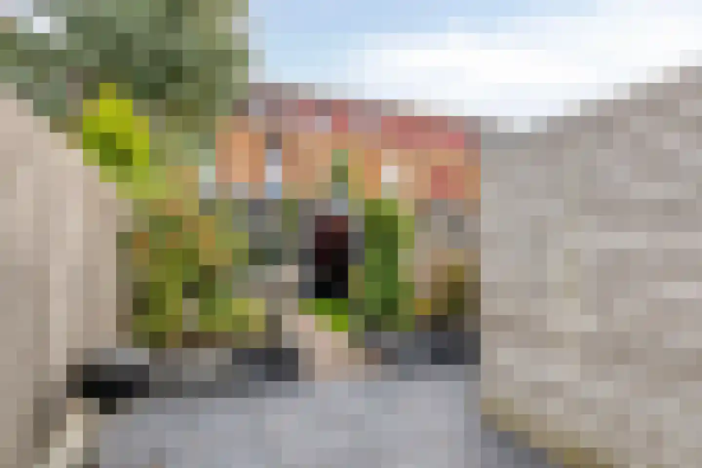 Polluxstraat 172 Arnhem thumbnail 27