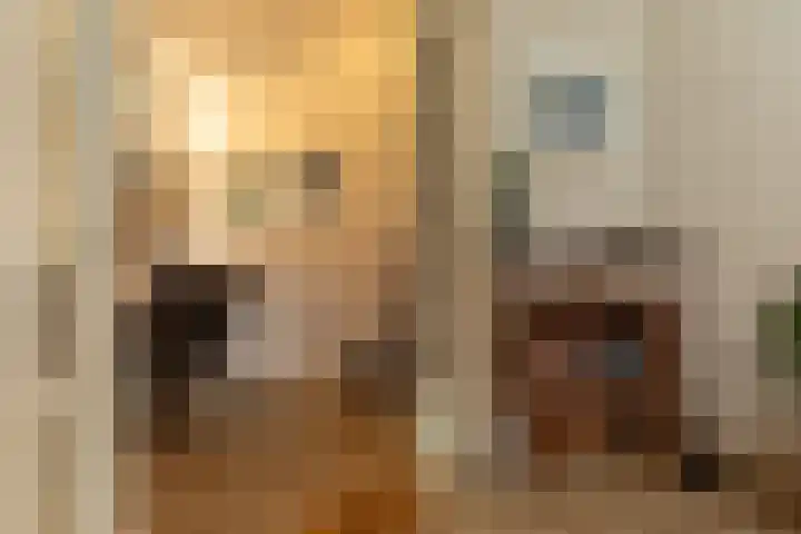 Polluxstraat 18 Hilversum thumbnail 10