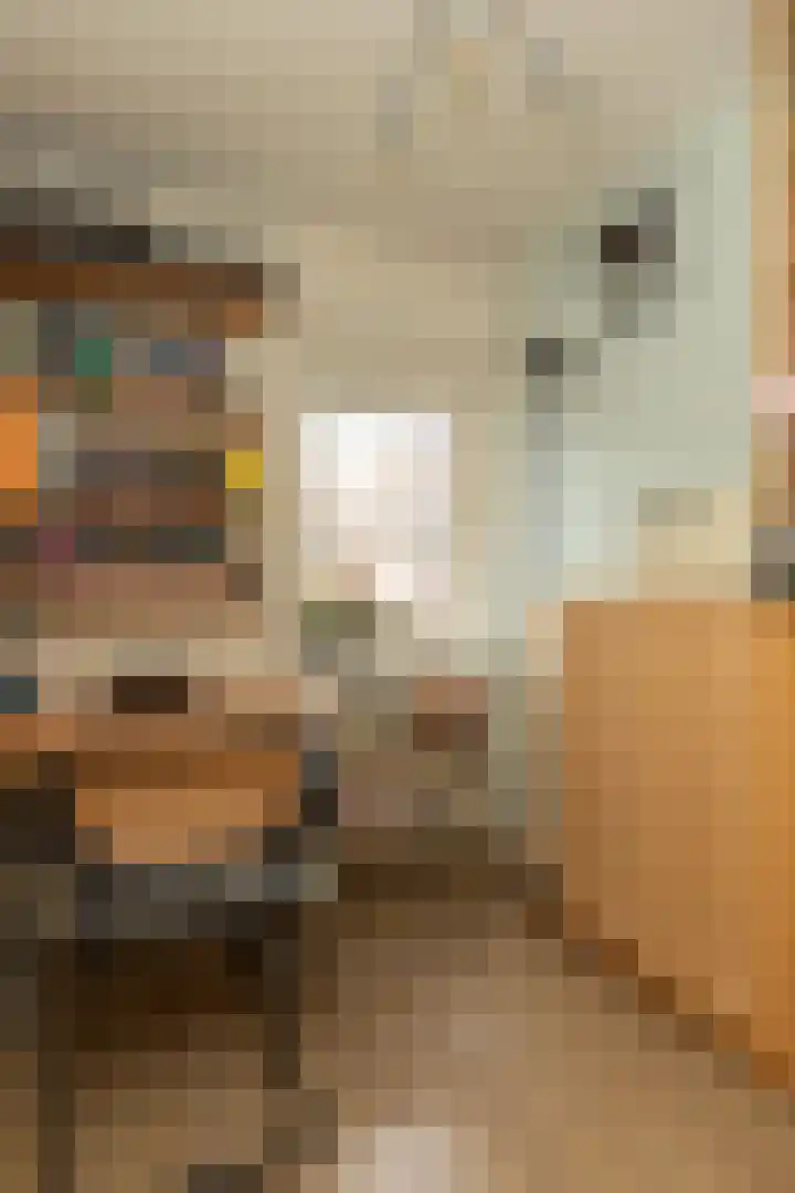 Polluxstraat 18 Hilversum thumbnail 20