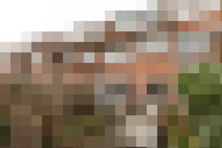 Polluxstraat 18 Hilversum thumbnail 29