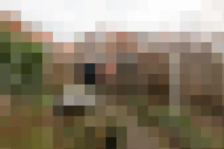 Polluxstraat 18 Hilversum thumbnail 30