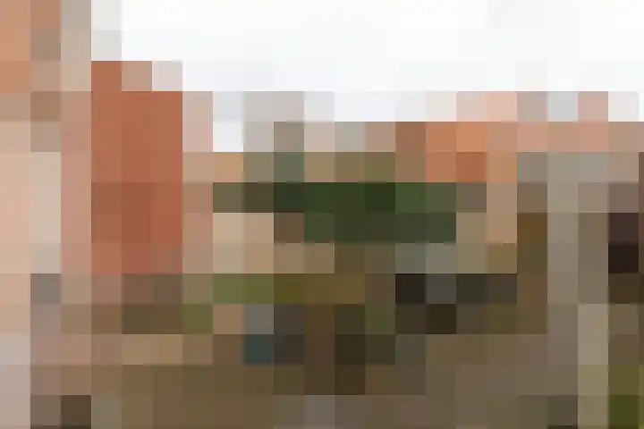 Polluxstraat 18 Hilversum thumbnail 31