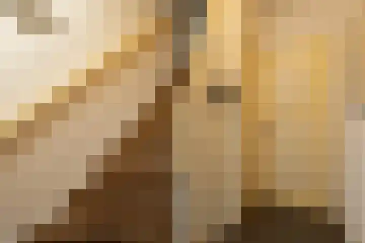 Polluxstraat 18 Hilversum thumbnail 6