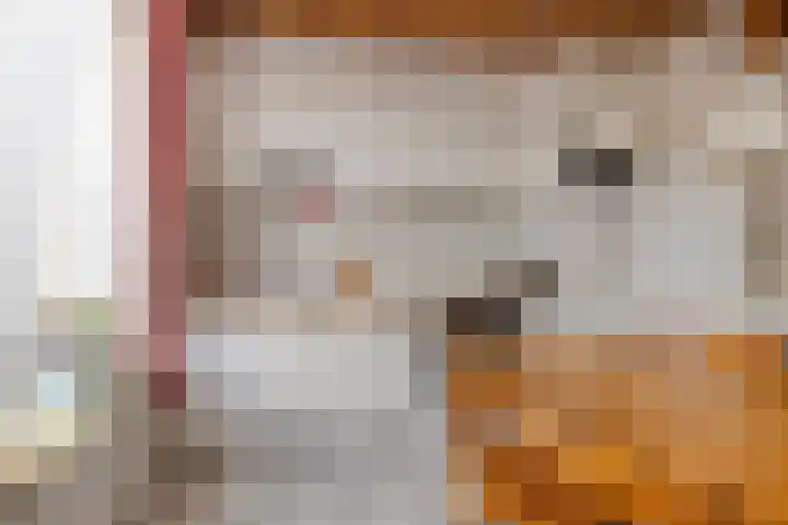 Polluxstraat 19 Spijkenisse thumbnail 10