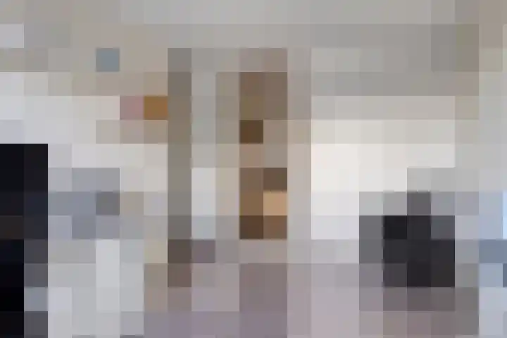 Polluxstraat 19 Spijkenisse thumbnail 15