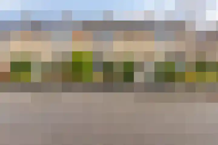 Polluxstraat 19 Spijkenisse thumbnail 5
