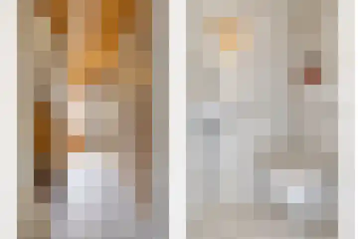 Polluxstraat 19 Spijkenisse thumbnail 7