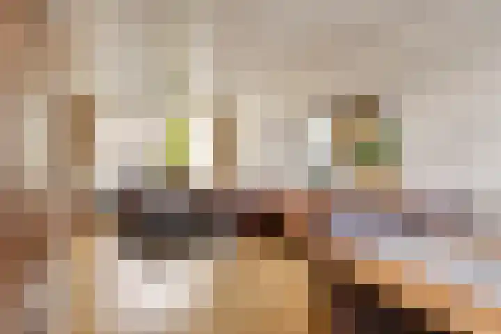 Polluxstraat 19 Spijkenisse thumbnail 8