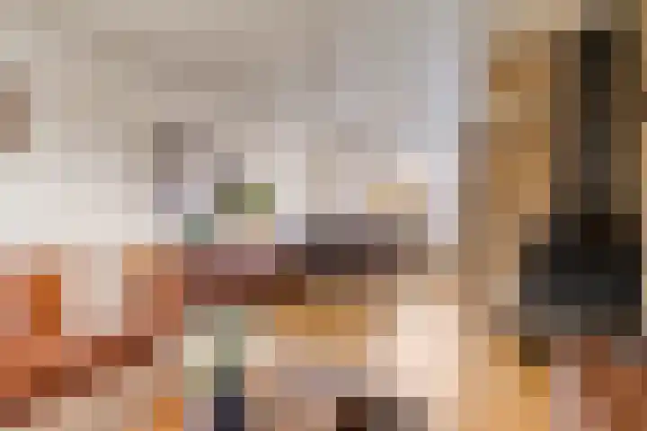 Polluxstraat 19 Spijkenisse thumbnail 9