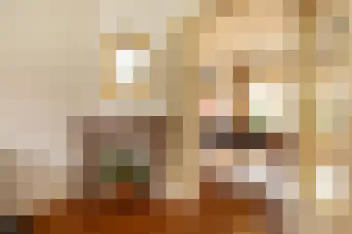 Polluxstraat 23 Hilversum thumbnail 12